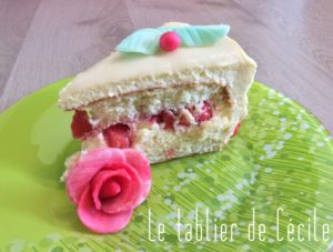 Fraisier 3